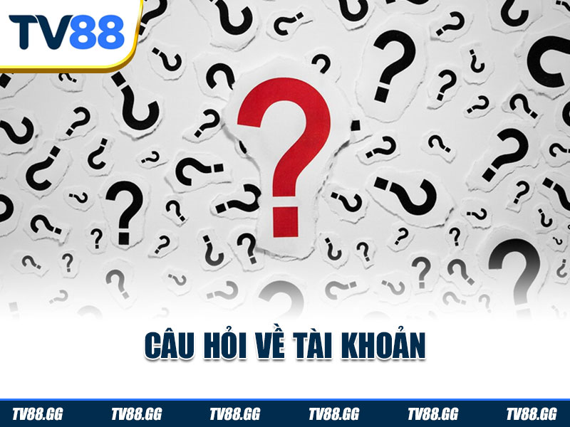 Các câu hỏi về tài khoản
